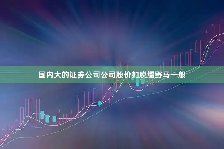 国内大的证券公司公司股价如脱缰野马一般