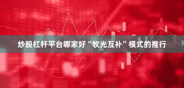 炒股杠杆平台哪家好“牧光互补”模式的推行